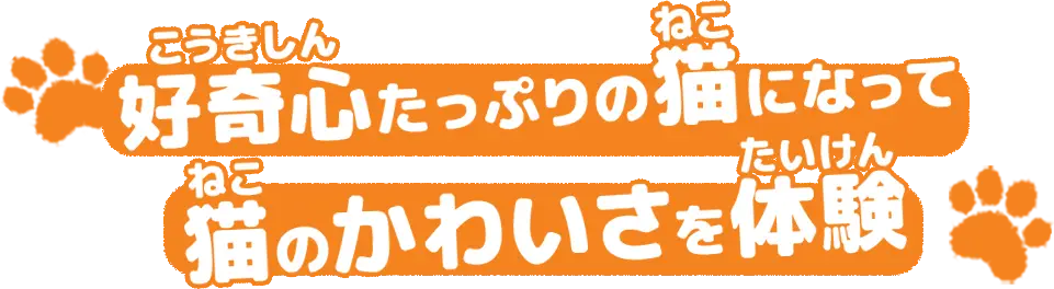 好奇心たっぷりの猫になって、猫のかわいさを体験